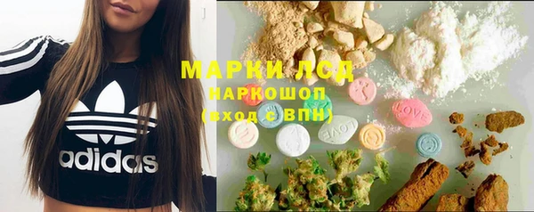 сатива Мегион