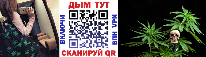 дарк нет наркотические препараты  Пугачёв  Марихуана ГИДРОПОН 